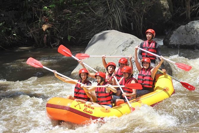 Ayung River Half-Day White Water Rafting Bali in Ubud - Meeting Point Details