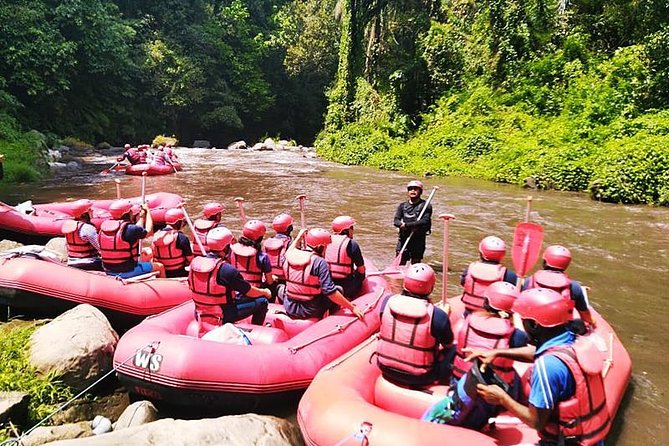 Ayung River Half-Day White Water Rafting Bali in Ubud - Safety Information