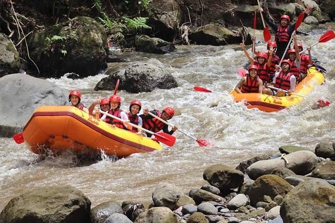 Ayung River Half-Day White Water Rafting Bali in Ubud - Customer Reviews