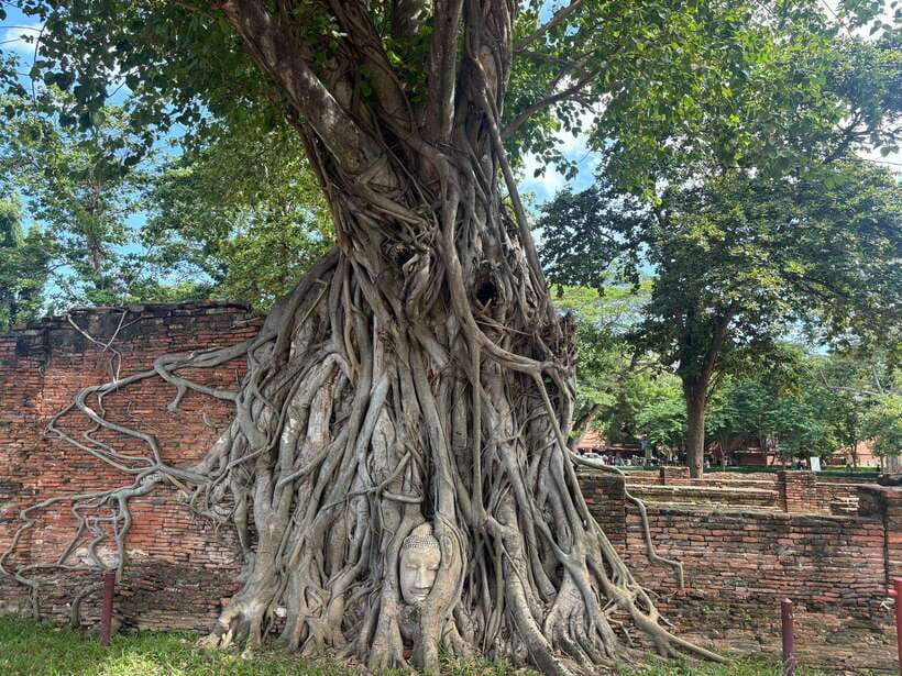 Ayutthaya Full-Day Tour With Bang Pa in (Summer Palace) - Inclusions and Exclusions