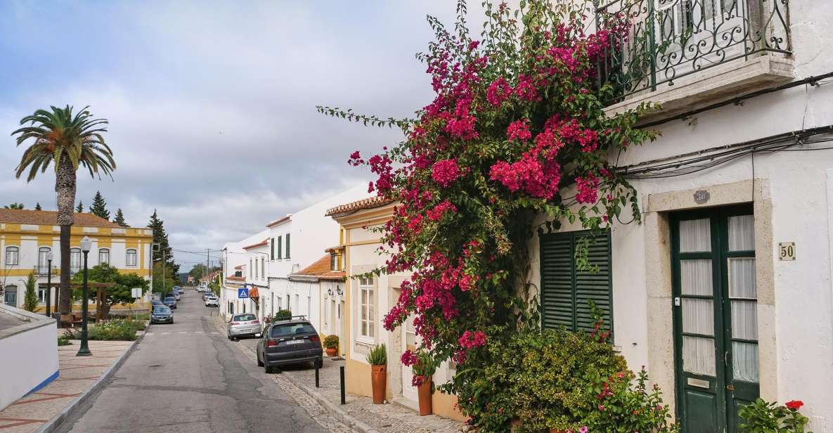 Azeitão - Cheese, Tiles and Wine - Pickup and Drop-off
