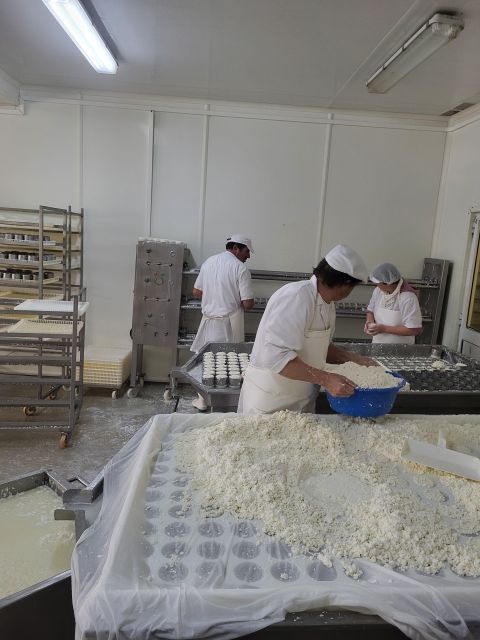 Azeitão - Cheese, Tiles and Wine - Guided Tour