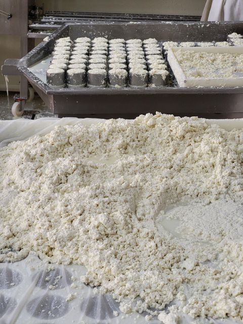 Azeitão - Cheese, Tiles and Wine - Additional Information