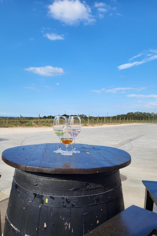 Azeitão - Cheese, Tiles and Wine - Frequently Asked Questions