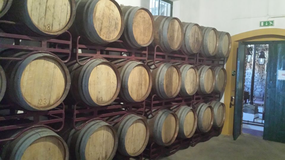 Azeitão: Private Full-Day Wine Experience From Lisbon - Includes