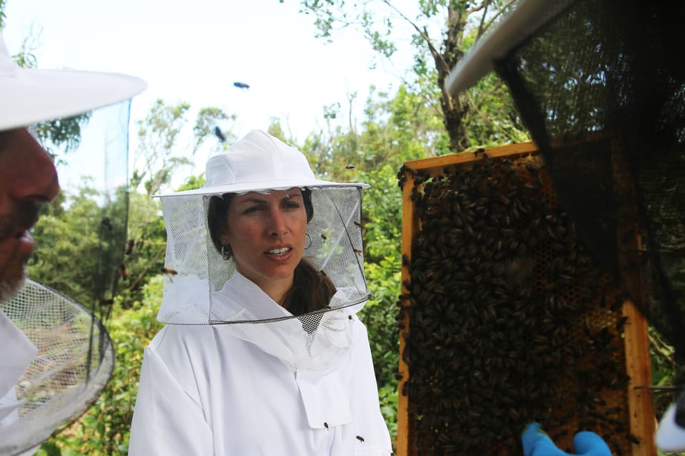 Azores Beekeeping Tour and Honey Taste - Introduction