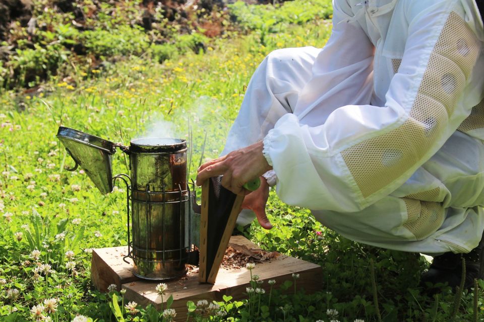 Azores Beekeeping Tour and Honey Taste - Key Points