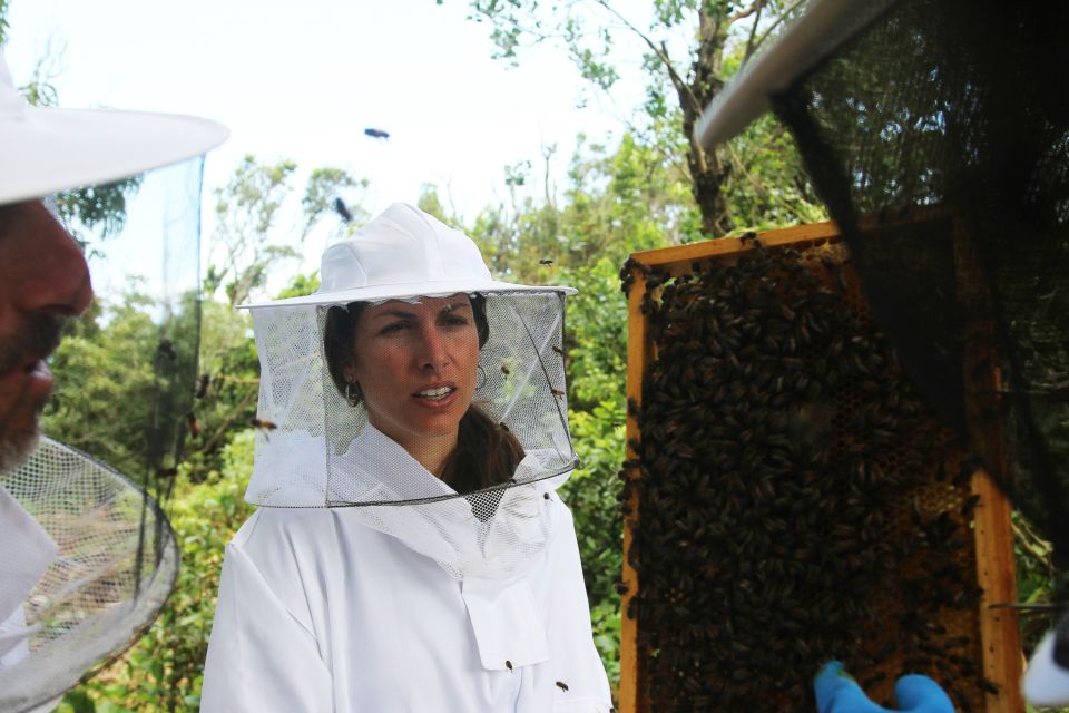 Azores Beekeeping Tour and Honey Taste - Exploring Beehives