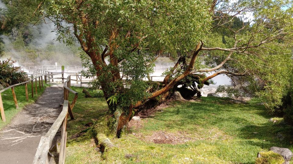 Azores: Full Day Private Tour Furnas Hot Baths & Gastronomy - Pico Do Ferro Lookout