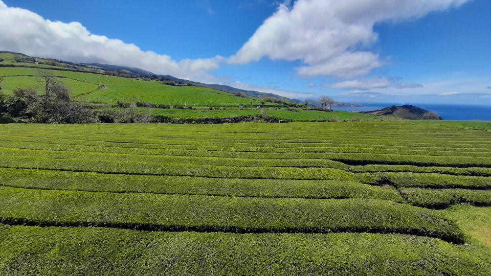 Azores: Furnas Evening Thermal Bath With Tickets - Key Points
