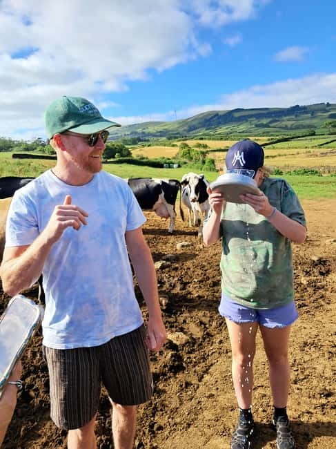 Azores: Half-Day Dairy Farm Tour - Who Should Consider This Tour?