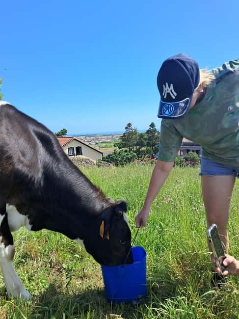 Azores: Half-Day Dairy Farm Tour - Final Thoughts
