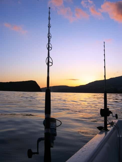 Azores: Ponta Delgada Sport Fishing Private Tour - What Makes This Tour Stand Out?