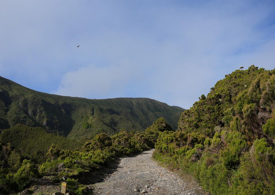 Azores: São Miguel and Lagoa Do Fogo Hiking Trip - Key Points
