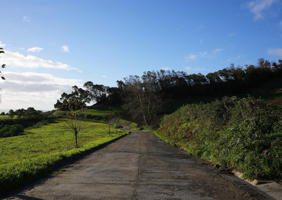 Azores: São Miguel and Lagoa Do Fogo Hiking Trip - Highlights of the Trip