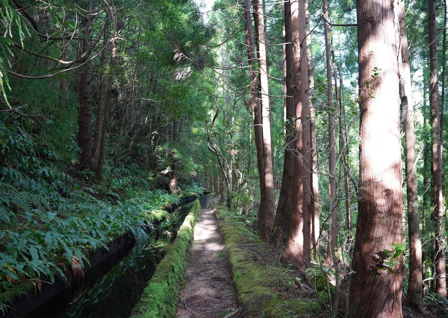 Azores: São Miguel and Lagoa Do Fogo Hiking Trip - Pickup and Drop-off