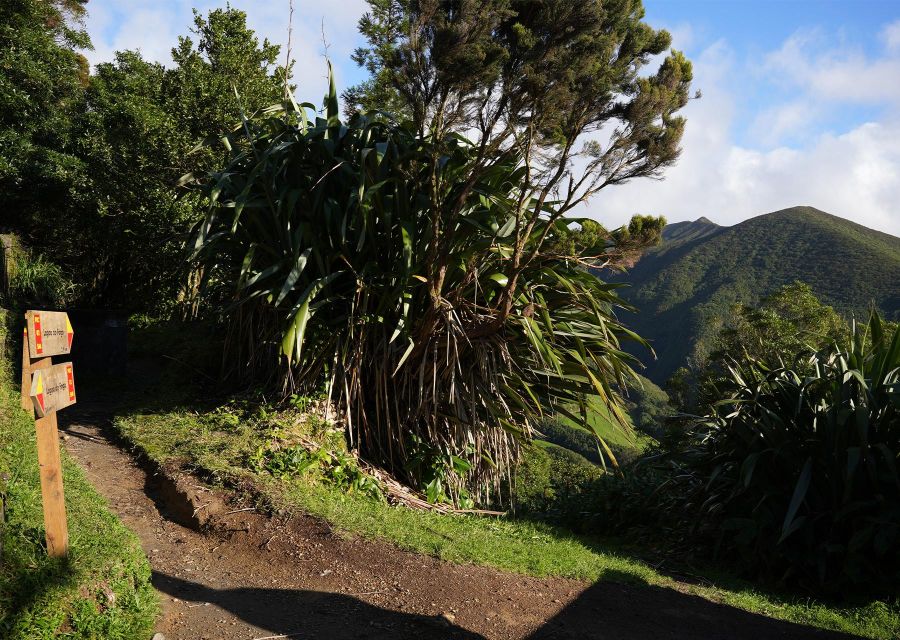 Azores: São Miguel and Lagoa Do Fogo Hiking Trip - Steep Descent and Hydrangeas
