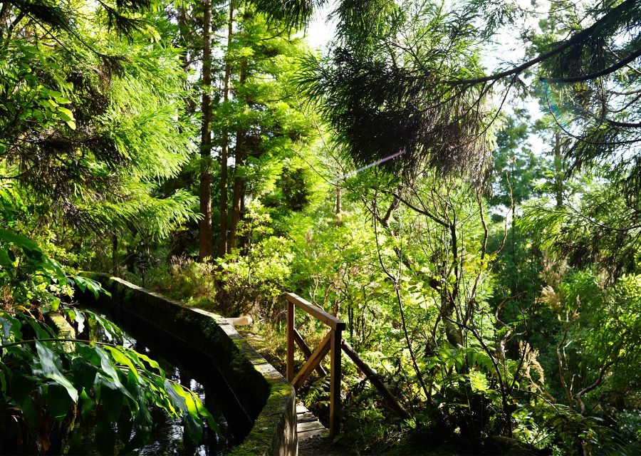 Azores: São Miguel and Lagoa Do Fogo Hiking Trip - Physical Condition Requirements