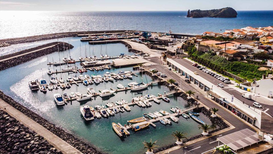 Azores: Swim With Dolphins Atlantic Experience - Key Points