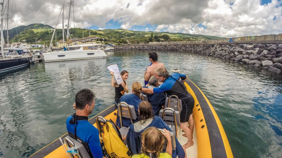 Azores: Swim With Dolphins Atlantic Experience - Coastal Exploration