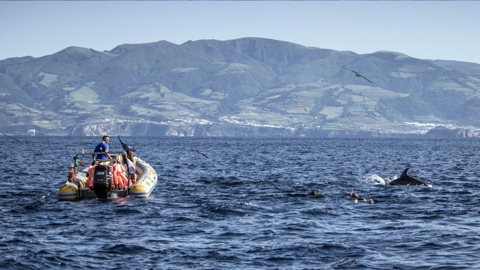 Azores: Swim With Dolphins Atlantic Experience - Tour Duration