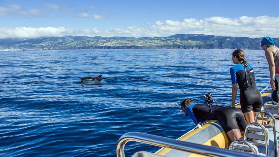 Azores: Swim With Dolphins Atlantic Experience - Frequently Asked Questions