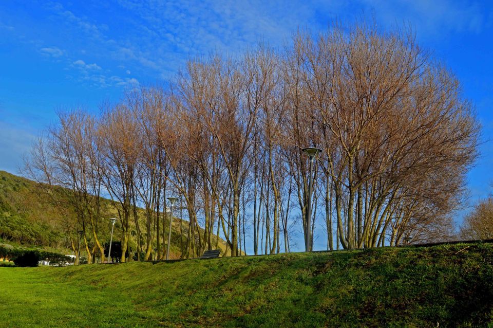 Azores: Terceira Island Full-Day Tour - Transportation and Logistics