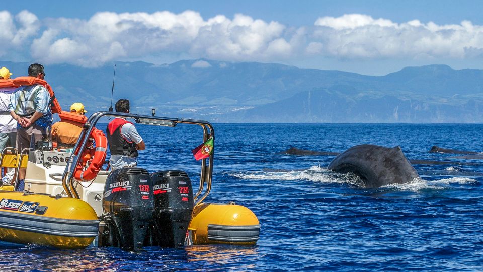 Azores: Whale Watching and Islet Boat Tour - Tour of the Princess Ring Islet