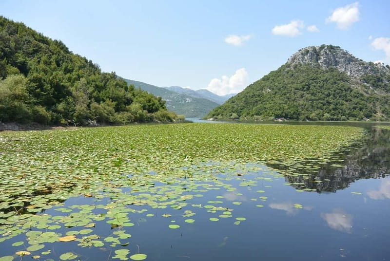 Azure Horizons: Skadar Lake Serenity & Bar's Timeless Tales - Key Points