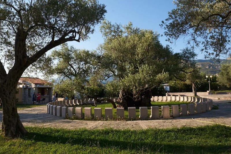 Azure Horizons: Skadar Lake Serenity & Bar's Timeless Tales - Practical Considerations