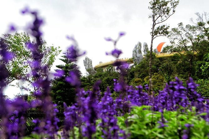 Ba Na Hills Private Tour - Tour Itinerary