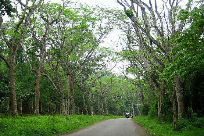 Ba Vi National Park Private Tour: Sightseeings & Jungle Hikking - Reviews and Traveler Experiences