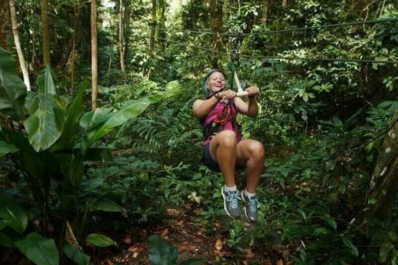 Babonneau/Castries: Rainforest Zip Line, Tram, and Hike Tour - The Sum Up