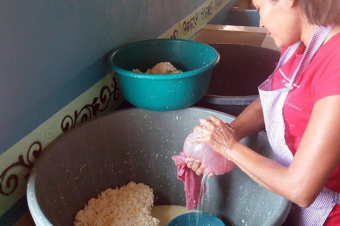 Baby sea turtles camp - The Authenticity and Impact of Meeting Local Families