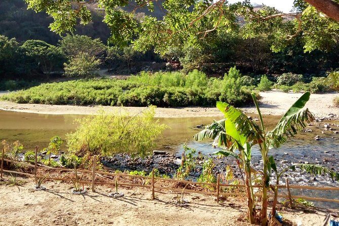 Baby sea turtles camp - Who Will Get the Most Out of This Experience?