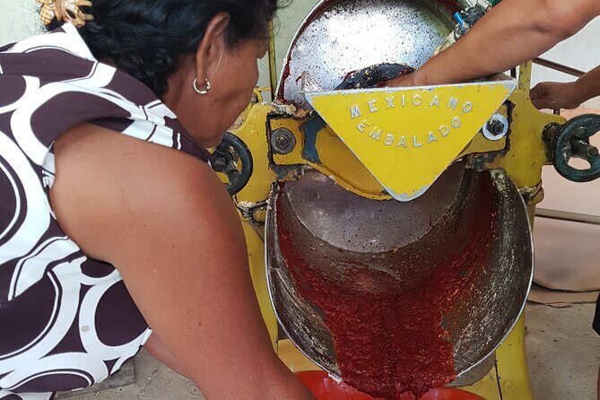 Baby sea turtles camp - Final Thoughts: Is It Worth It?