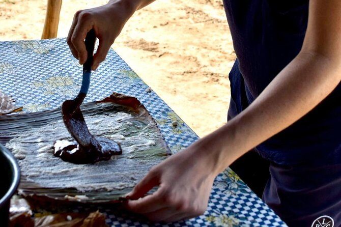 Baby sea turtles camp - FAQ