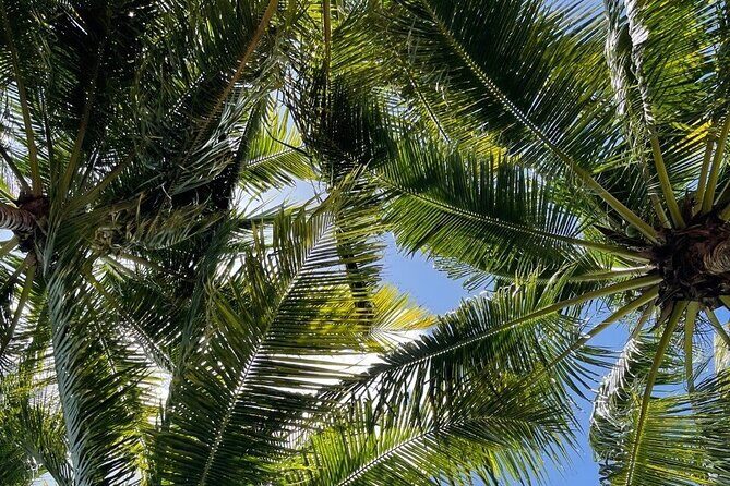 Bacalar 7 Color Lagoon and Mayan Family Experience Combo Tour - FAQ