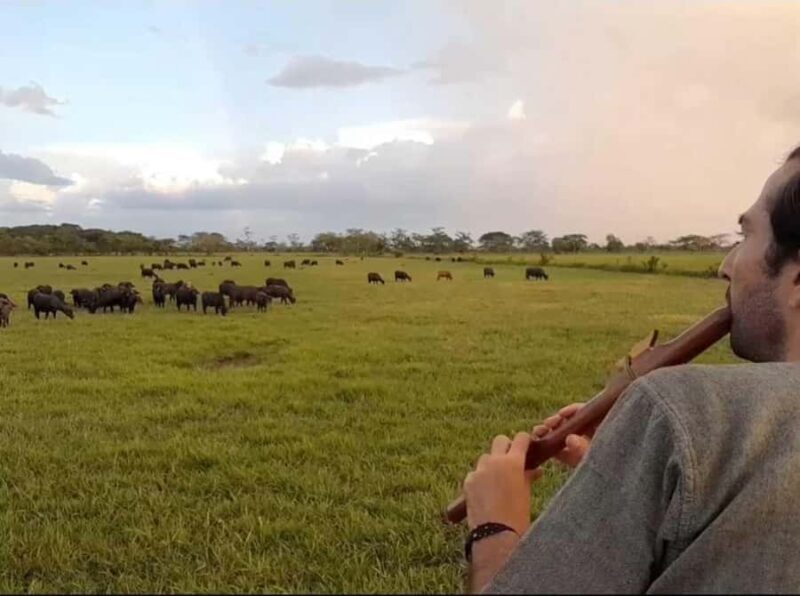 Bacalar: Calakmul, Palenque with a unique stop in the heart of the savanna - Discovering Calakmul: A Maya City in the Green