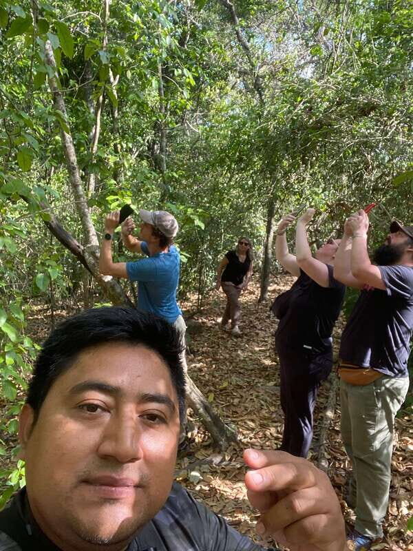 Bacalar: Calakmul Ruins Day Trip with a Stop In The Jungle - Who Would Love This Tour?