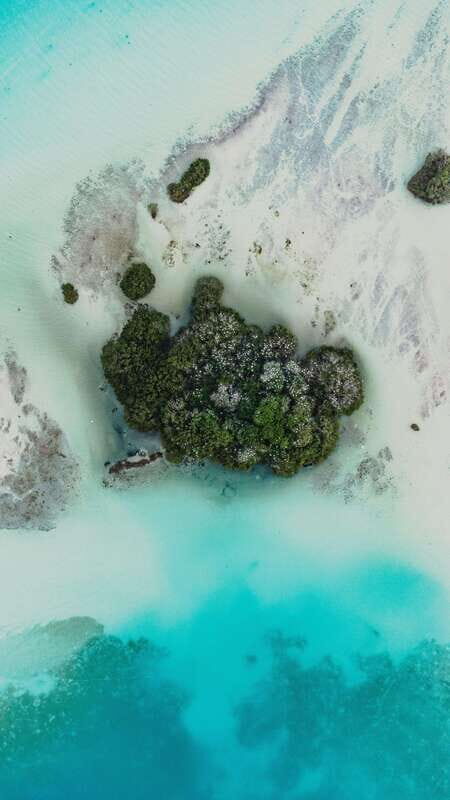 Bacalar & Cenotes: 3 hours kayak rental with snorkeling gear - Why This Experience Stands Out