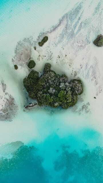 Bacalar & Cenotes: 3 hours kayak rental with snorkeling gear - Who Should Consider This Tour?