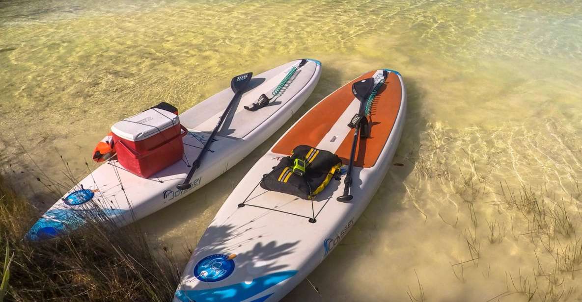 Bacalar: Full-Day Paddleboard Rental - Key Points