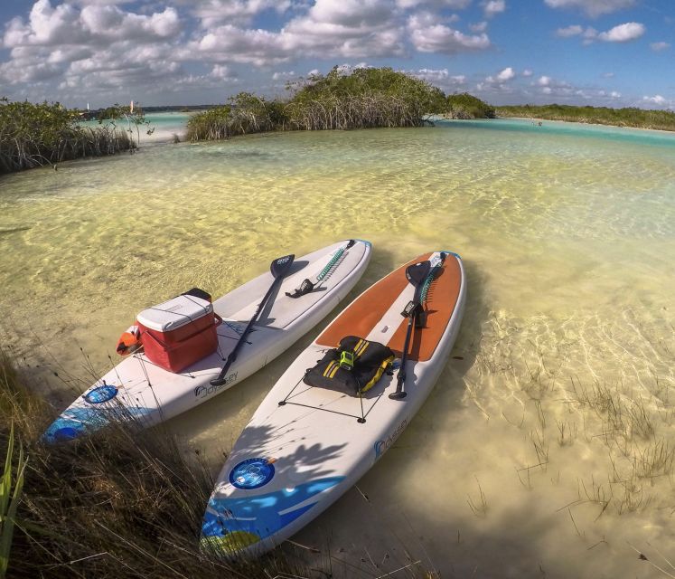 Bacalar: Full-Day Paddleboard Rental - Duration and Instructor Languages
