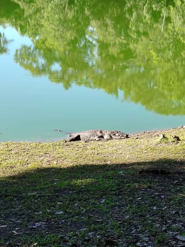 Bacalar: Ichkabal mayan temples & boat tour. - Key Points