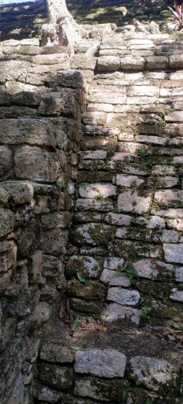 Bacalar: Ichkabal mayan temples & boat tour. - A Close Look at the Tour Experience