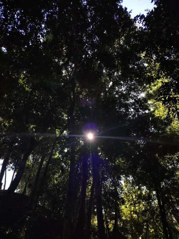 Bacalar: Ichkabal mayan temples & boat tour. - Who Should Take This Tour?