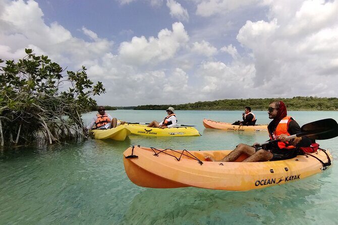 Bacalar Lagoon! Kayaks & Cenote Azul From Playa Del Carmen - Transportation and Logistics — What It Means for You