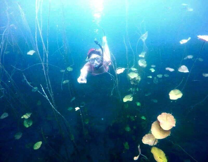 Bacalar: Magnificent Bacalar Lagoon Exclusive Boat Tour - Key Points