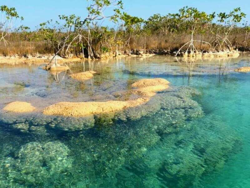 Bacalar: Magnificent Bacalar Lagoon Exclusive Boat Tour - Who Will Love This Tour?